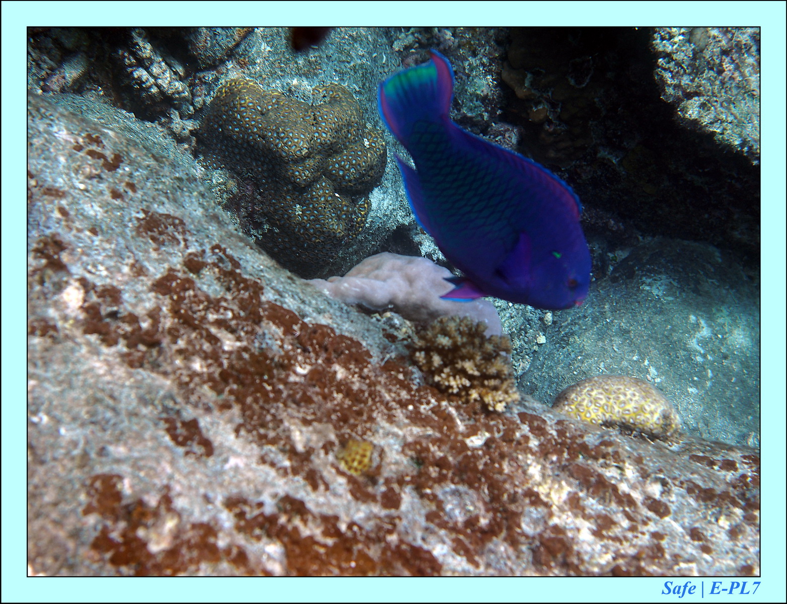 2016 - 07 - Leng Tengah - 073